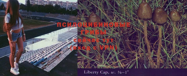 a pvp Арсеньев
