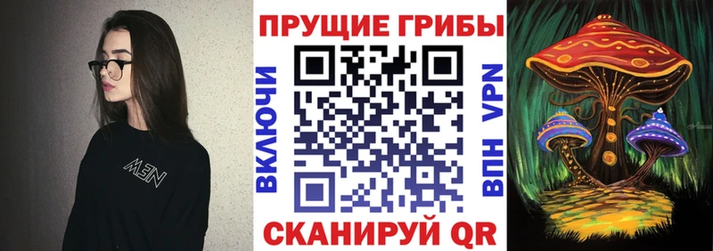 Галлюциногенные грибы мицелий  где купить наркотик  Верхняя Салда 