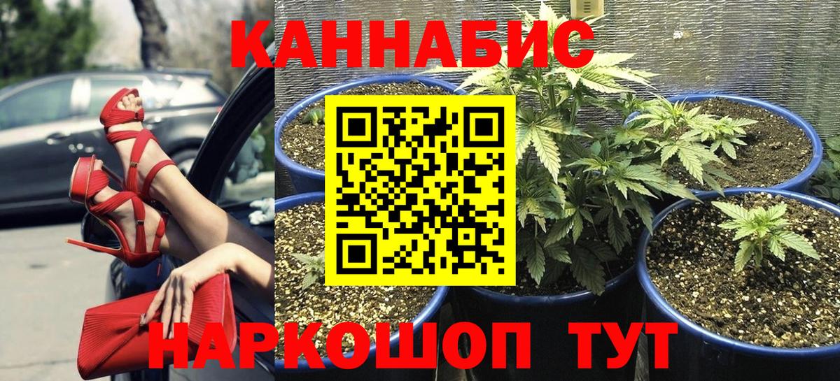 Каннабис планчик  Вход с VPN  Верхняя Салда  Бошки Шишки Ganja  Бошки Шишки Amnesia 